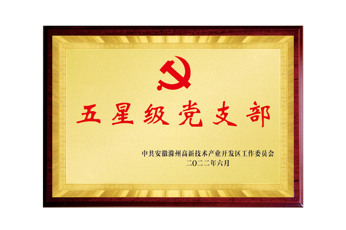 五星级党支部