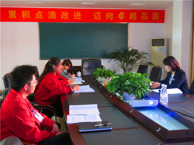 15410534523631.jpg 市长质量奖审查 (6).jpg